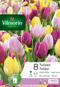 Tulipe Simple Hâtive en Mélange (x8)