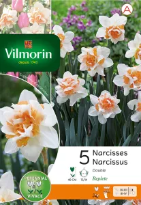 Narcisse Double Replete (x5)