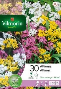 Allium En Mélange (x30)