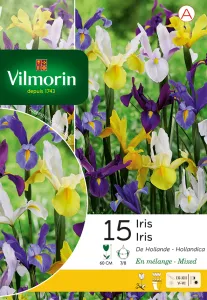 Iris De Hollande En Mélange (x15)