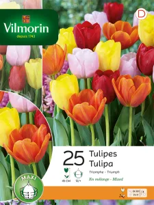 Tulipe Triomphe en Mélange (x25)