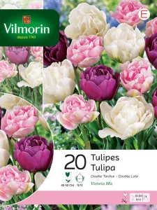 Tulipe Victoria Double Tardive en Mélange (x20)