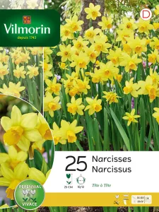 Narcisse Botanique Tete A Tete (x25)