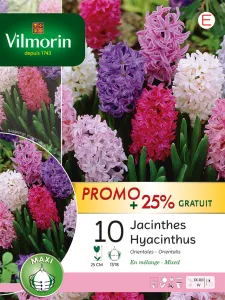 Jacinthe Orientale en Mélange (x10) + 25% Offert