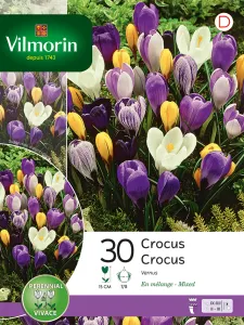 Crocus Vernus En Mélange (x30)