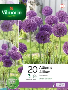 Allium Purple Sensation en Mélange (x20)