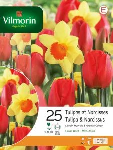 Tulipes et Narcisses (x25)