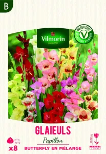 Glaïeuls Grande Fleur Butterfly en Mélange (x8)