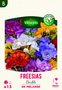 Freesia Double en Mélange (x15)