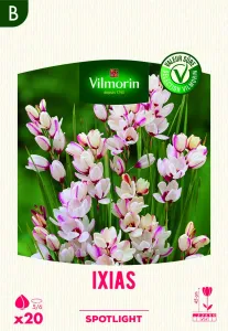 Ixias Spotlight (x20)