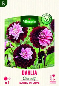 Dahlia Daria In Love (x1)
