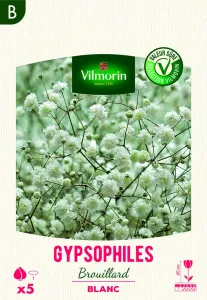 Gypsophiles Brouillard Blanc (x5)