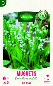 Muguet Convallaria Majalis (x5)