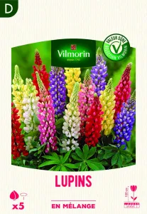 Lupin en Mélange (x5)