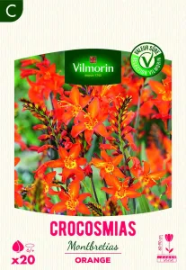 Montbrétia Crocosmia Orange (x20)
