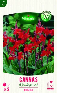 Canna Greenleaves Rouge (x2)
