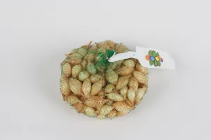 Oignon Sturon - 250 g 