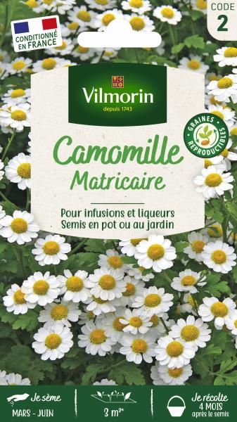 Camomille Ordinaire