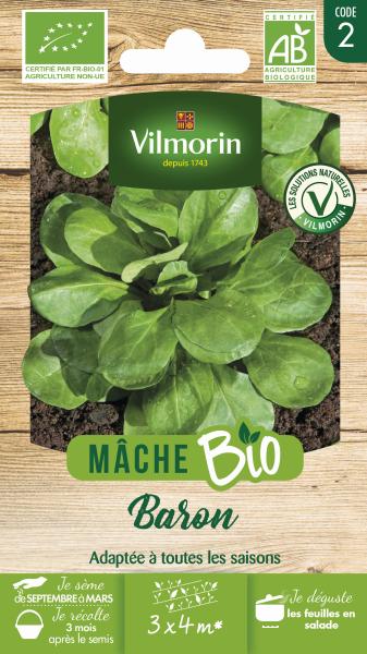 Mâche Baron - BIO