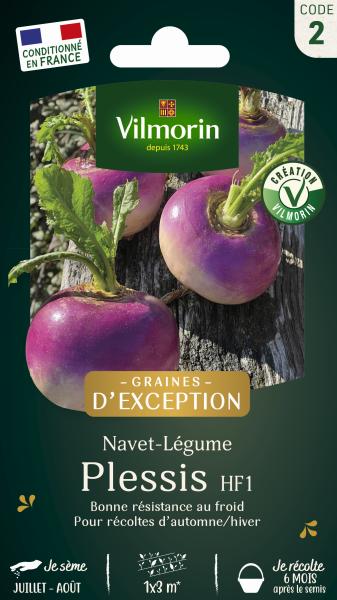 Navet-légume Plessis F1 - Graines d'Exceptio