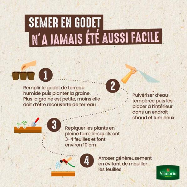 Potagères - Poivron Doux Long des Landes - image