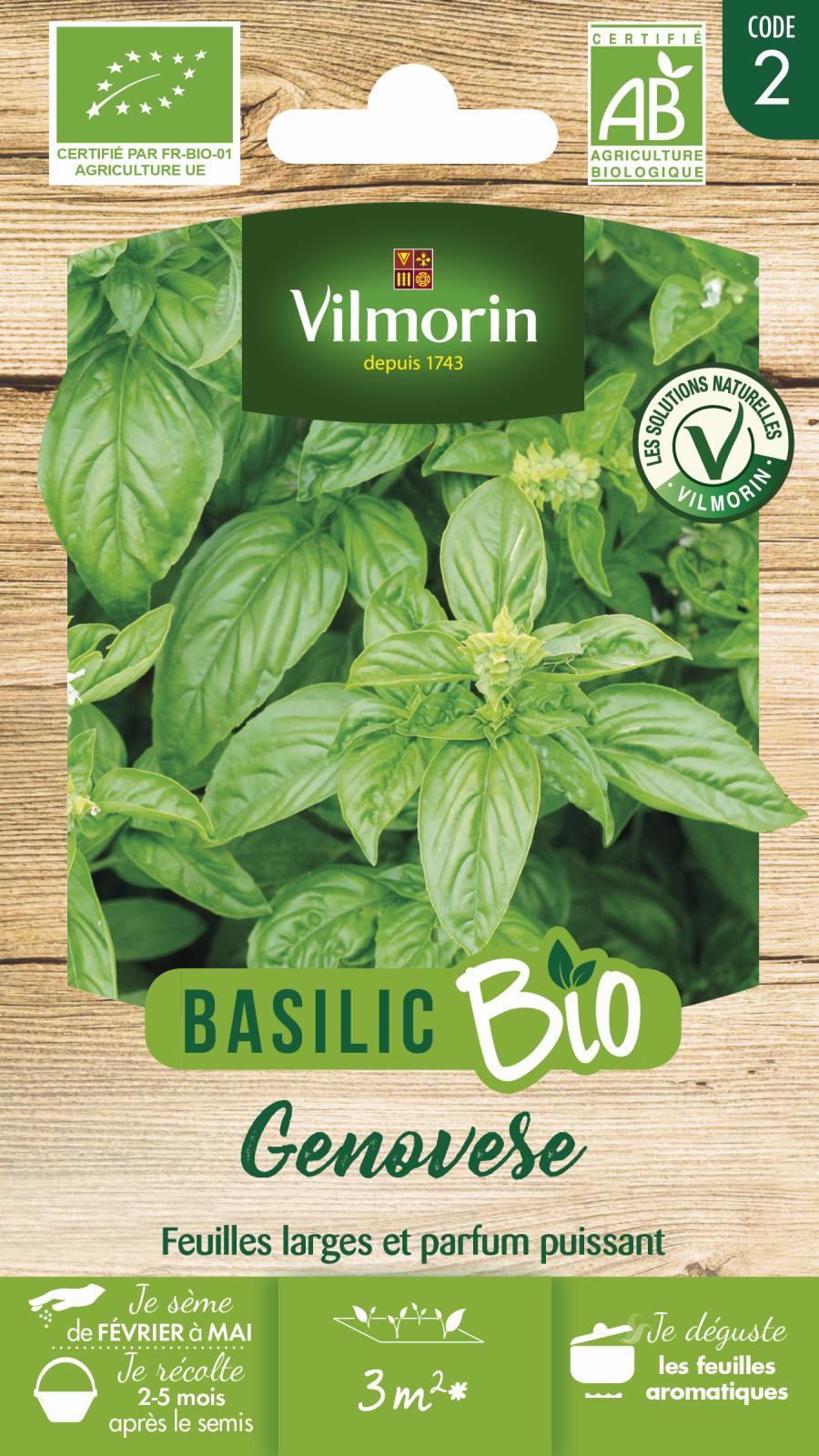 Graines Basilic Grand Vert Genovese BIO - Lot De 30 Graines Aromatiques