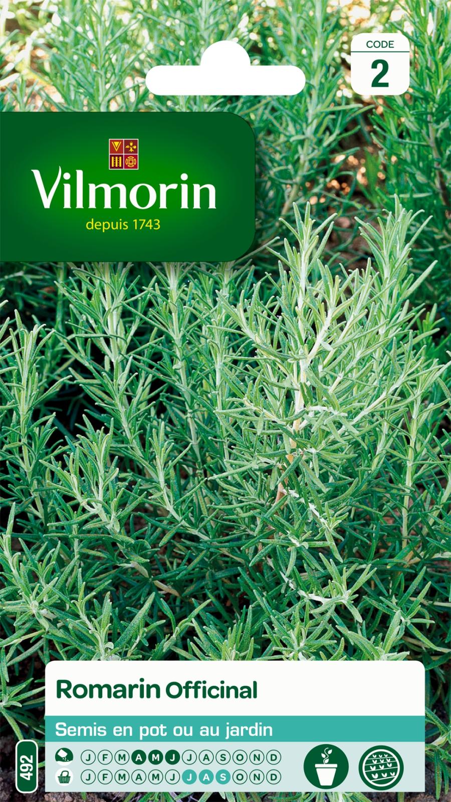 Romarin Officinal | Vilmorin Jardin
