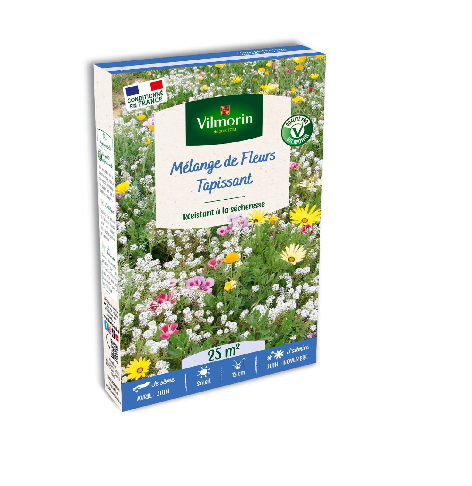 Un couvre-sol à floraison jaune à croissance rapide qui prospère au