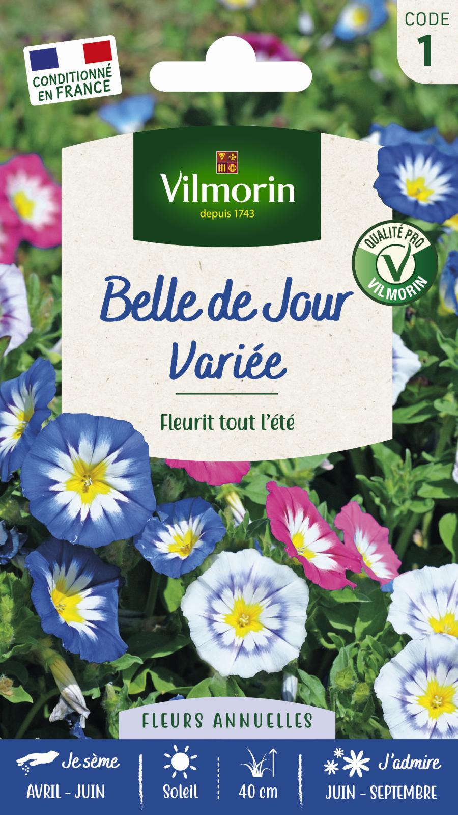Belle de Jour Varie | Fleurit tout l't | Vilmorin Jardin