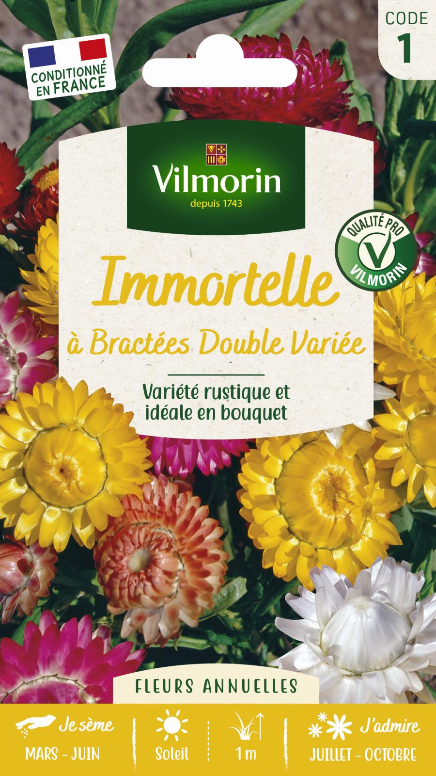 Graines Souci Double Varié Vilmorin - Multicolore, Floraison Abondante, Facile à Cultiver