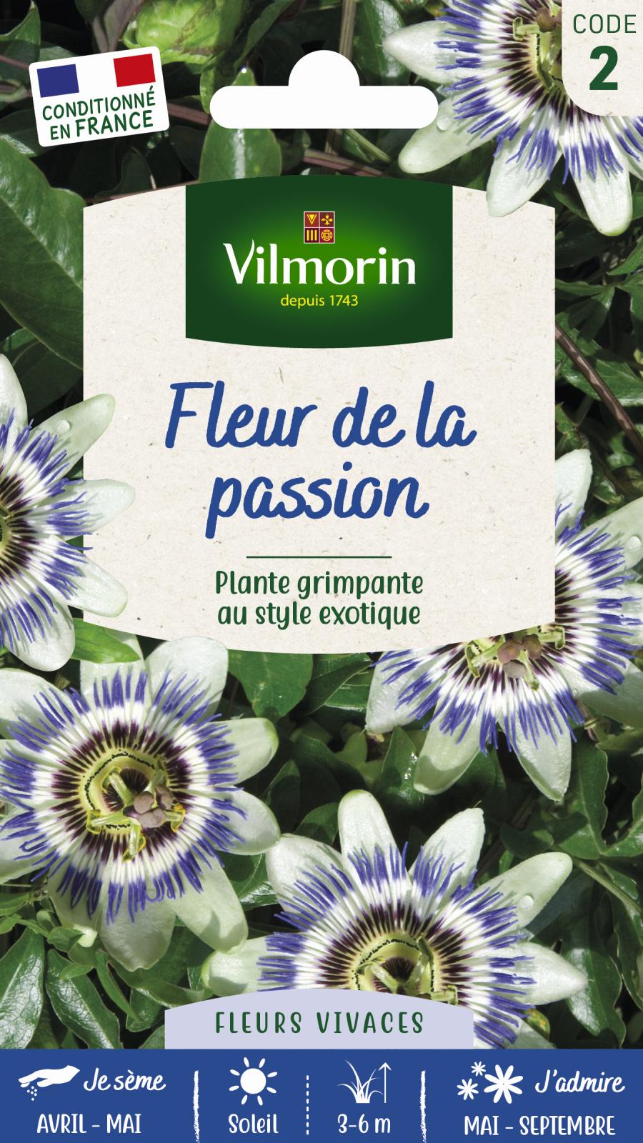 Passiflore Anastasia - Fleur De La Passion Pot De 2L/3L - Gamm Vert - Foto 7