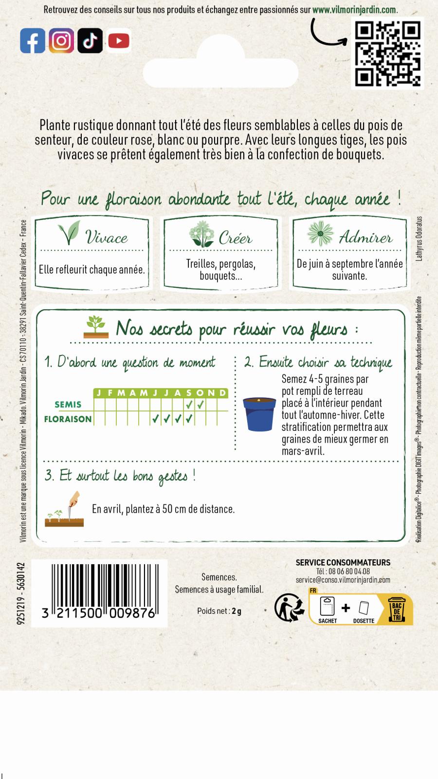 Graines De Pois Vivace Varié Vilmorin - Fleurs Roses, Blanches, Pourpres, Pour Treilles Et Bouquets - 7