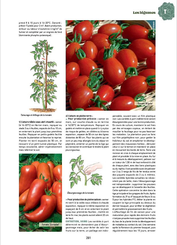 GUIDE CLAUSE TRAITÉ des travaux du jardinage Potager Horticulture 1957 EUR 12,00 - FR