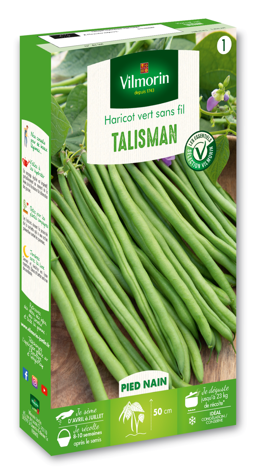 Graines Haricot Nain à Filet Talisman 70g - Les Graines Bocquet - Variété Extra Fine - Pour Potager
