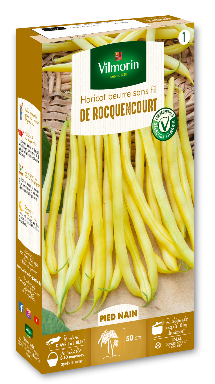 Haricot de Rocquencourt | Nain Très Fin | Vilmorin Jardin