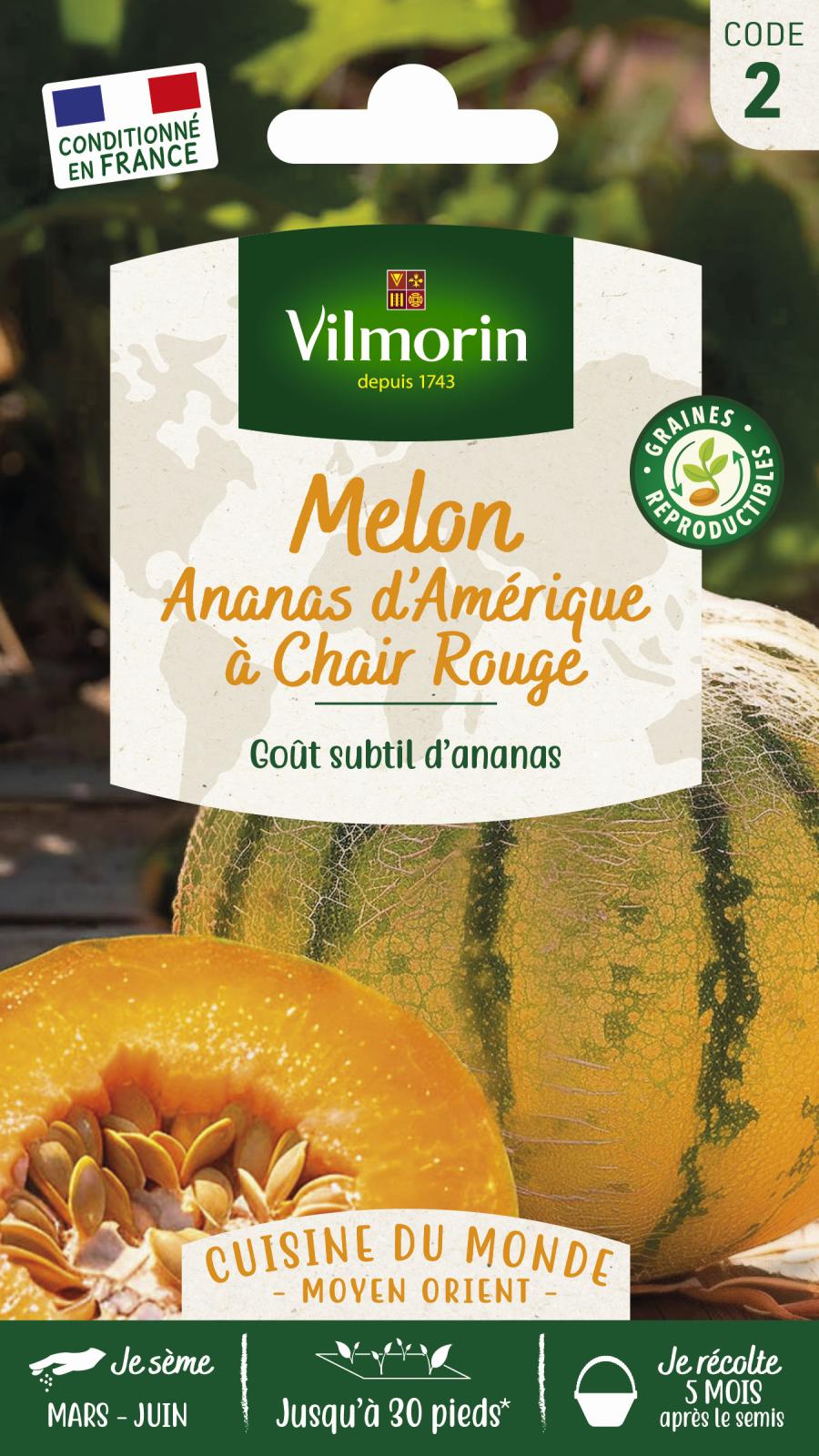 Melon Ananas | Chair blanche très juteuse et sucrée | Vilmorin Jardin