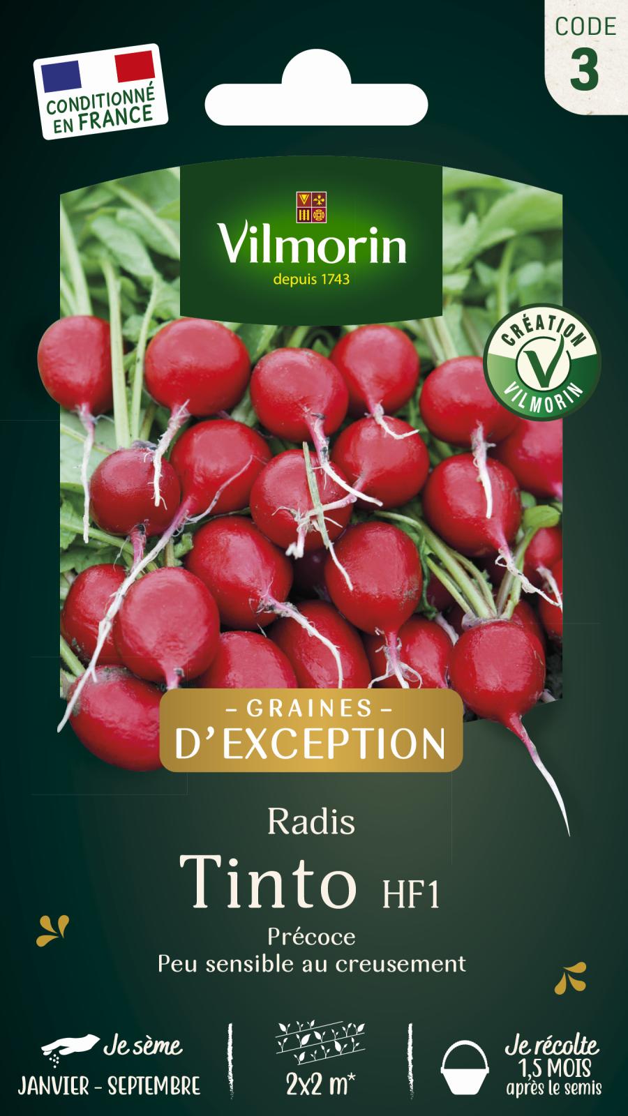 Radis Tinto HF1 | Rond très rouge & croquant | Vilmorin Jardin