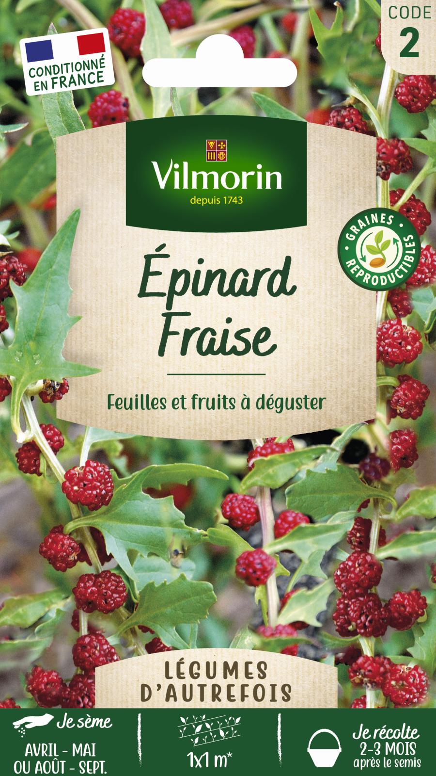 Epinard Fraise - Légumes d'Autrefois