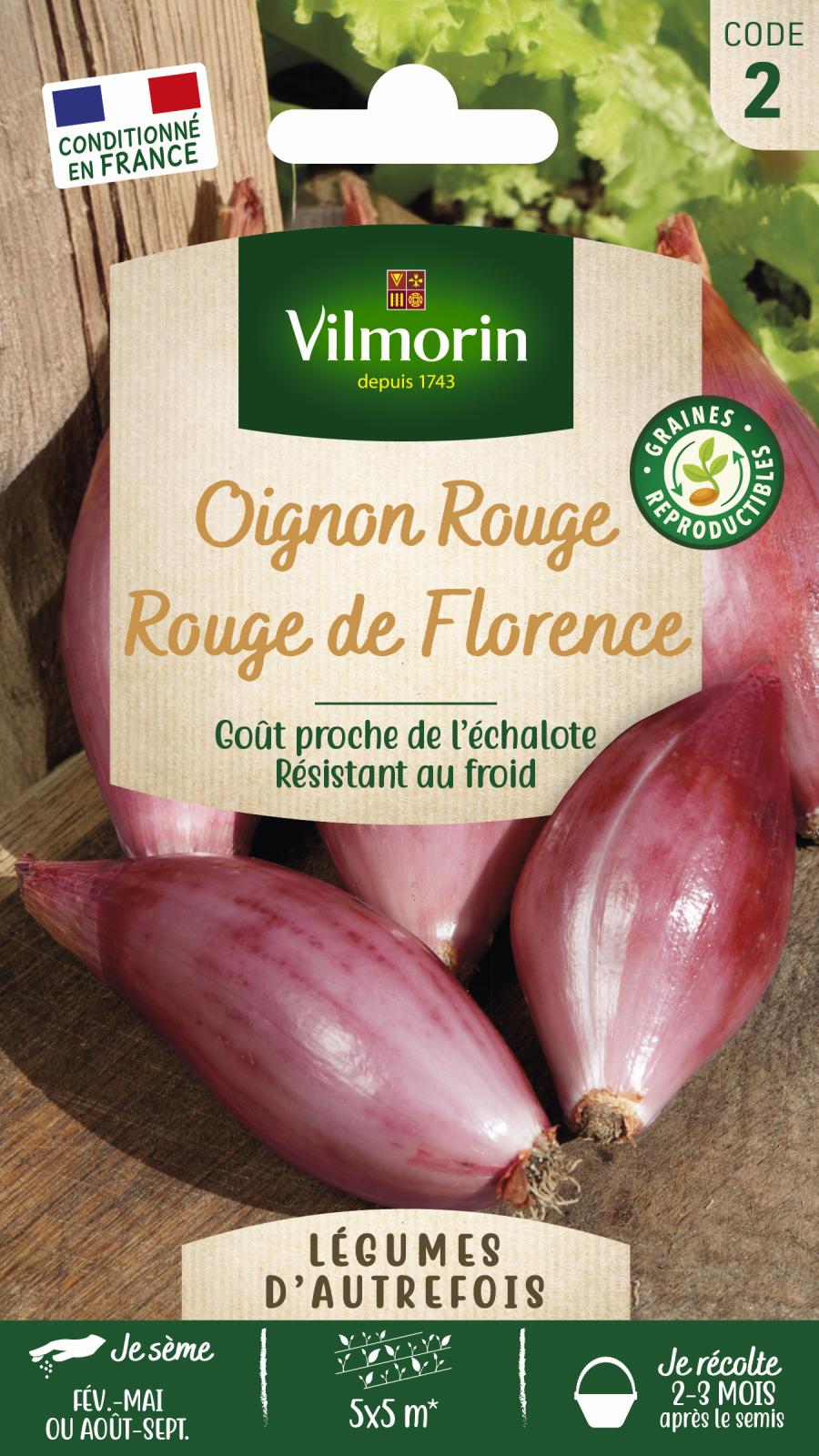 Oignon Rouge Long de Florence | Semblable échalote | Vilmorin Jardin