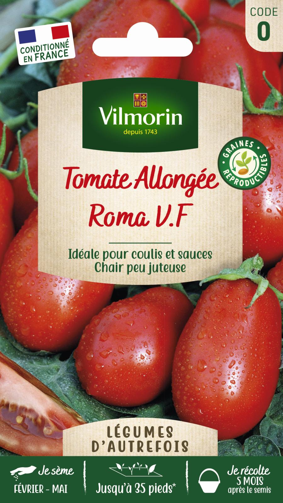 Tomate Roma : Culture facile et récolte abondante | Vilmorin Jardin