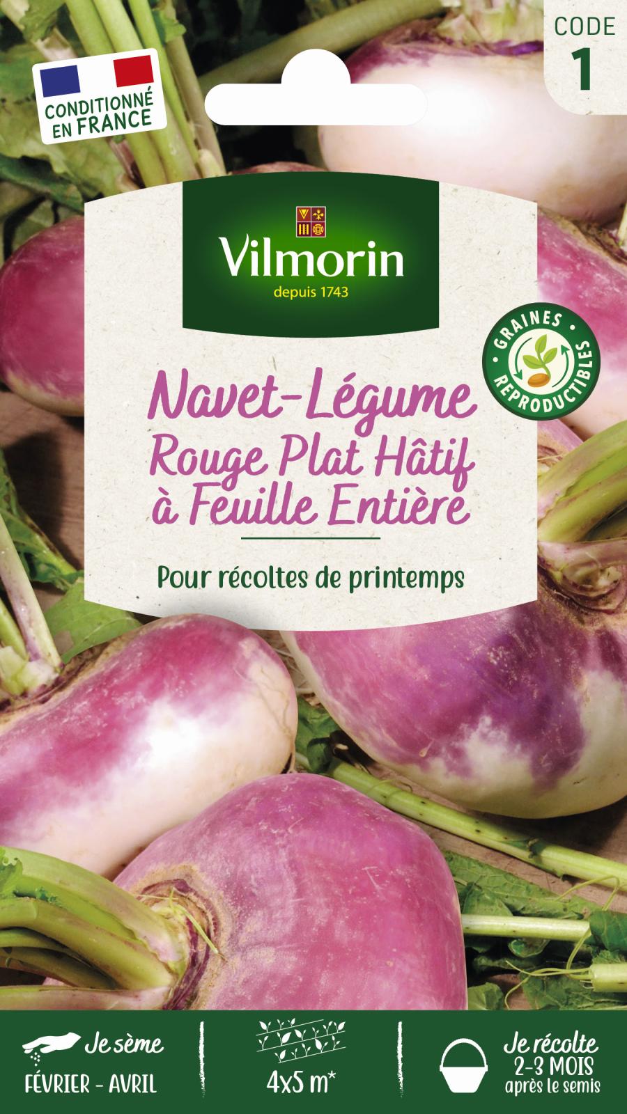Navet Rouge Plat Hâtif à Feuille Entière | Très précoce | Vilmorin Jardin