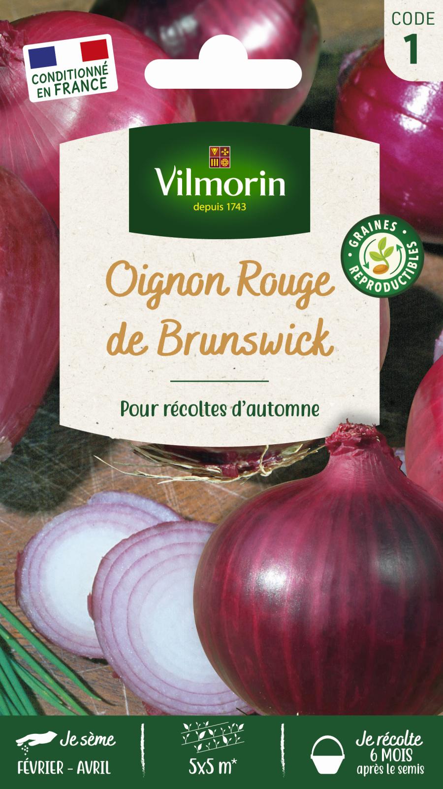 Oignon Rouge de Brunswick | Rond tardif et rustique | Vilmorin Jardin