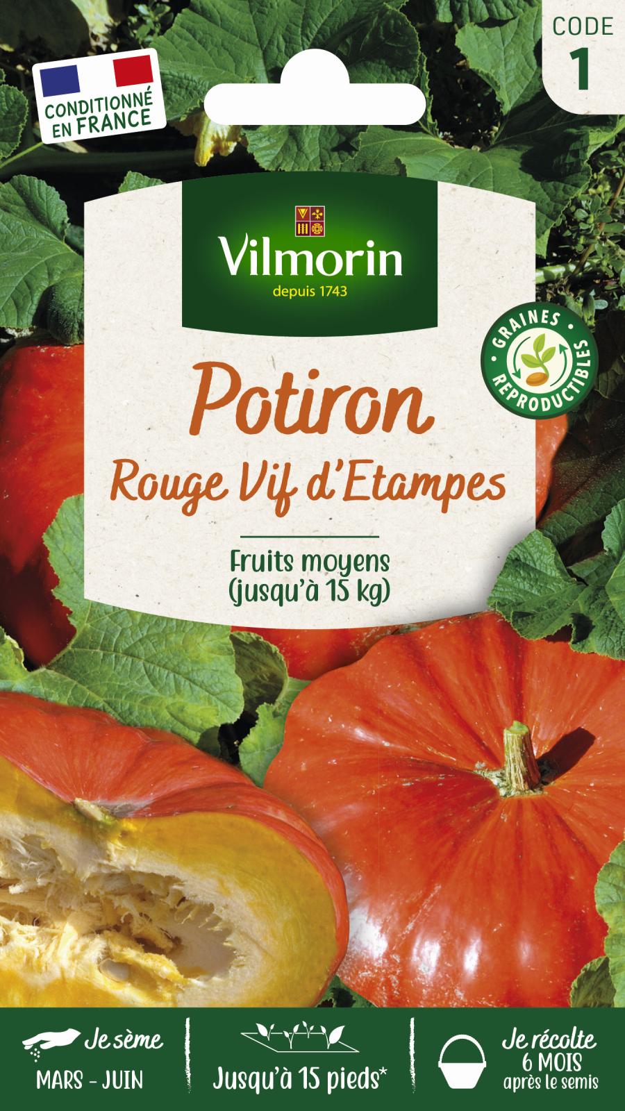 Potiron Rouge Vif d'Etampes | Excellente conservation | Vilmorin Jardin