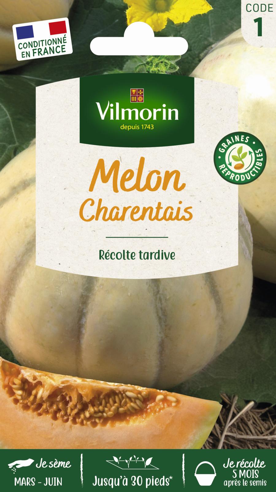 Melon Charentais