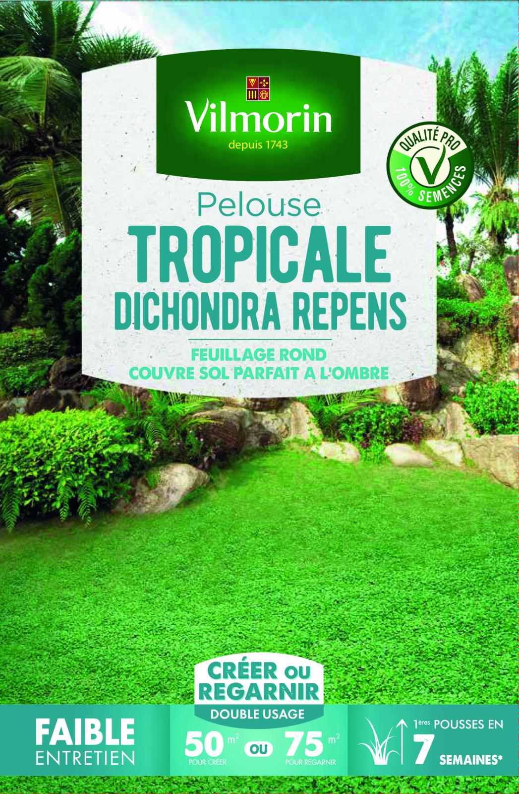 Graines Pelouse Tropicale Dichondra Repens Vilmorin - 500 G, Couvre-sol Ombre, Vert