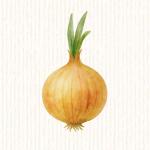 Oignon