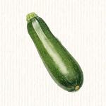 Courgette