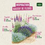 Fleurs - Digitale Excelsior Variée - image