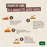 Potagères - Carotte Presto HF1 - image