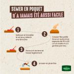 Légumes Secs - Haricot Nain Vert Maxi - 10 m - BIO - image